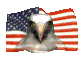 American Made