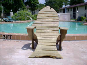 sharkers-chair.jpg (22866 bytes)